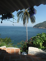 Ocean view from Casa Isabel in Yelapa — palm tree, turquoise Pacific waters, and the lush hillside of the retreat village